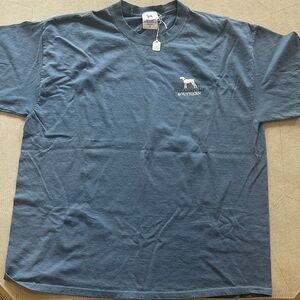 Short Sleeve Tee in Blue